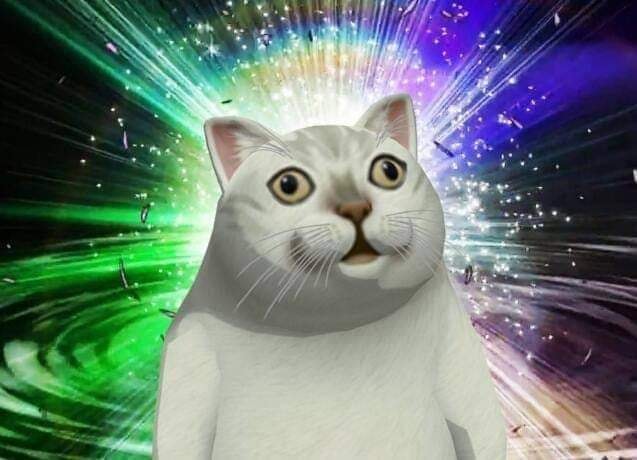 cat-in-universe